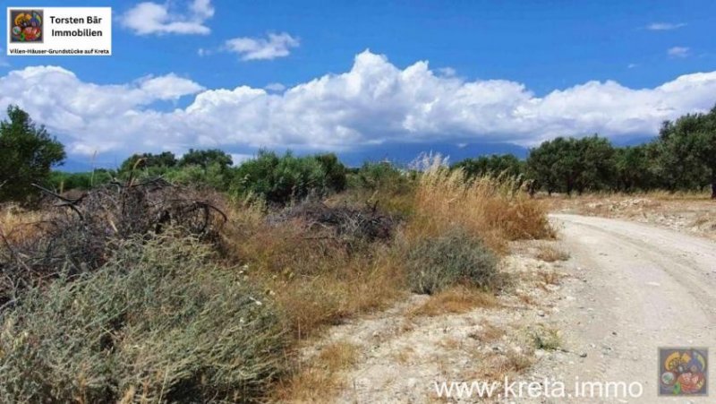 Kamilari Kreta Kamilari, Baugrundstück 2.000m² mit 2 Baugenehmigungen ! zu verkaufen Grundstück kaufen